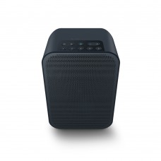 BlueSound Pulse Flex 2i